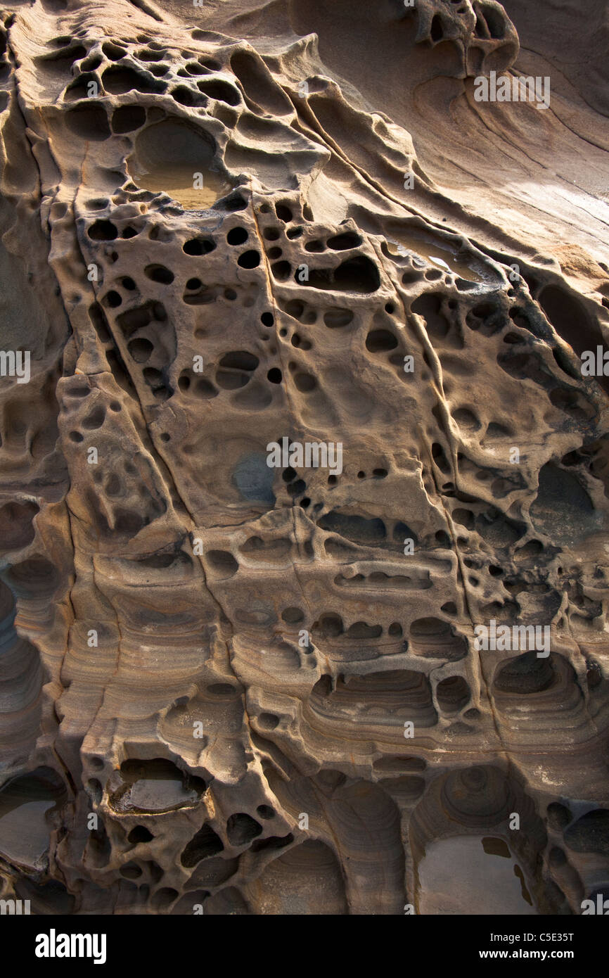 Exponierten Lagen und Tafoni Formationen an Bean Hollow State Beach, California. Stockfoto
