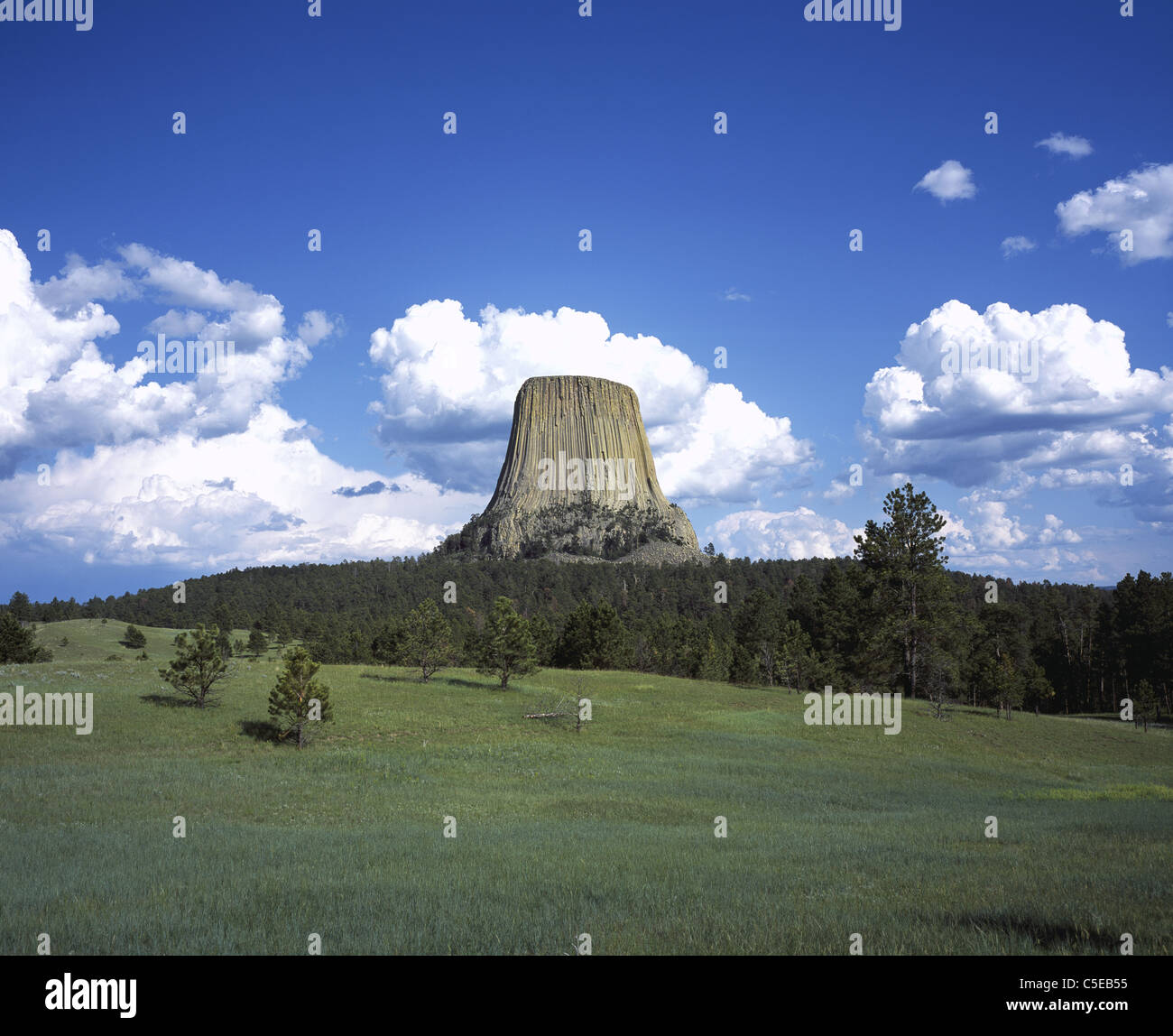 Einzigartige vulkanische Gesteinsformation, die aus dem umliegenden flachen Gelände herausragt. Devils Tower, Crook County, Wyoming, USA. Stockfoto