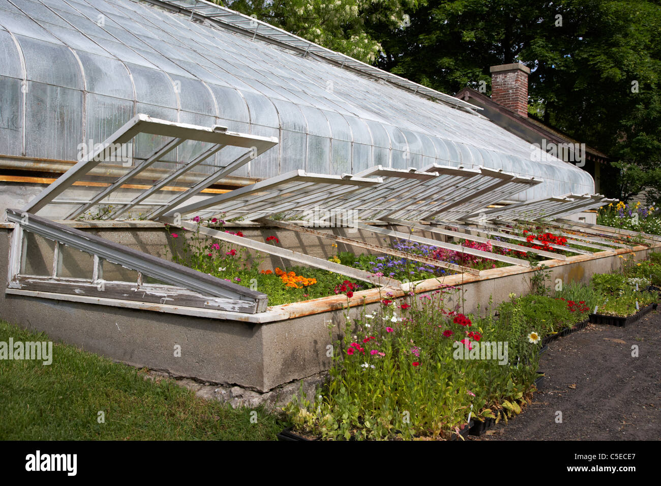 Gewächshaus und Frühbeete wachsende Blumen auf dem Gelände des Spadina House Toronto Ontario Kanada Stockfoto