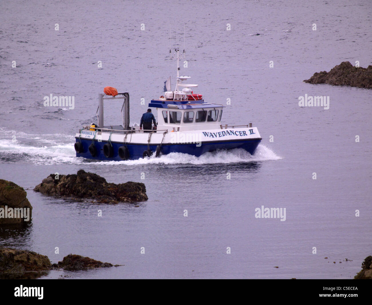 Hafen von St. Abbs, Berwickshire. Schottland. "Wavedancer II" speziell dafür gebauten Tauchen Boot kommt zurück in den Hafen. Stockfoto