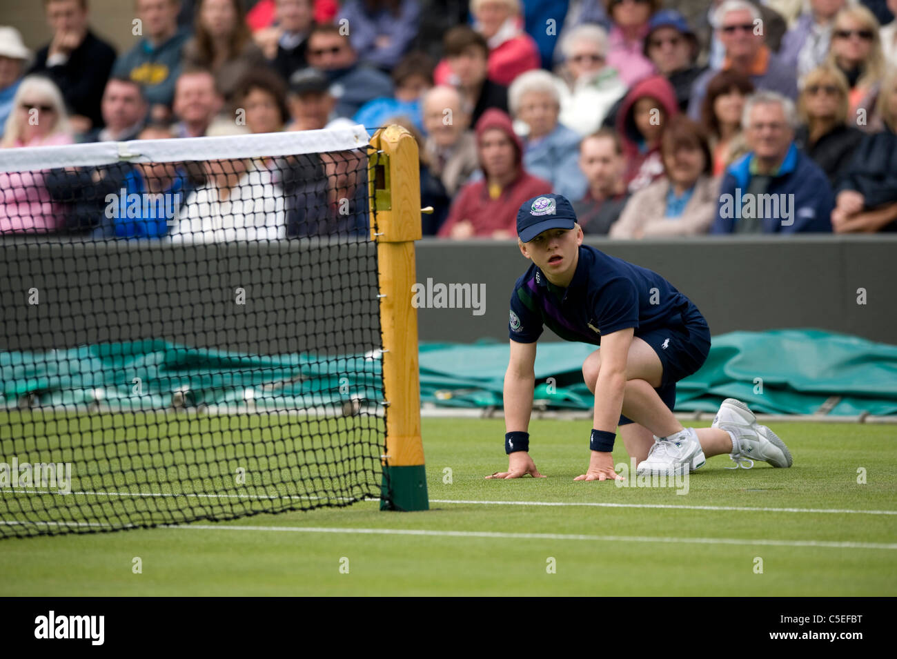 Wimbledon tennisplatz netz Fotos und Bildmaterial in hoher Auflösung Alamy