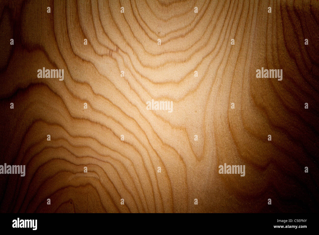 schönes Bild der Vene natürlichen Holz Hintergrund Stockfoto