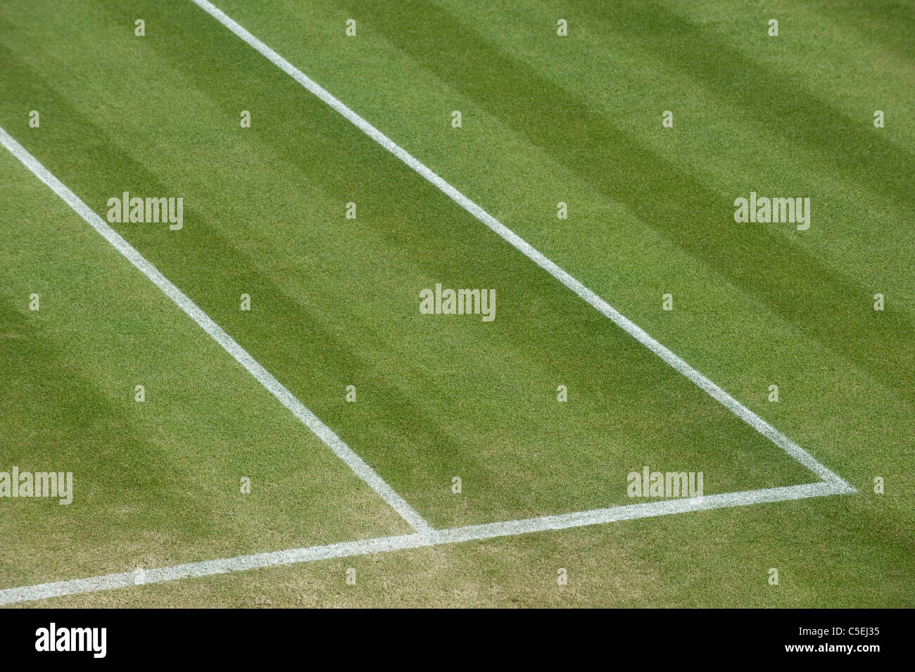 Detail des Grases und Linien auf einem äußeren Gericht während der 2011 Wimbledon Tennis Championships Stockfoto