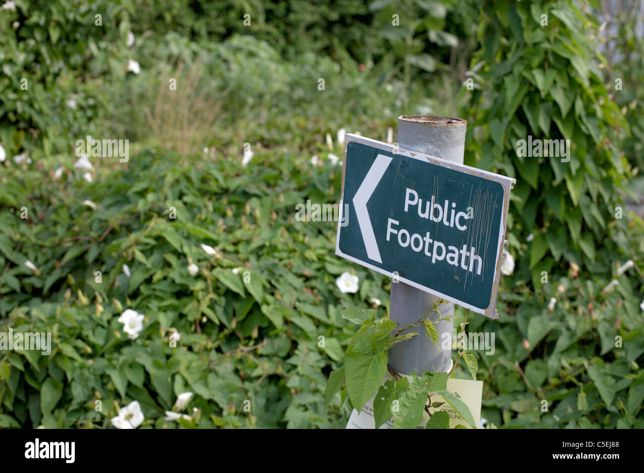 Öffentlichen Fußweg unterzeichnen überwucherten Cornwall England UK Stockfoto