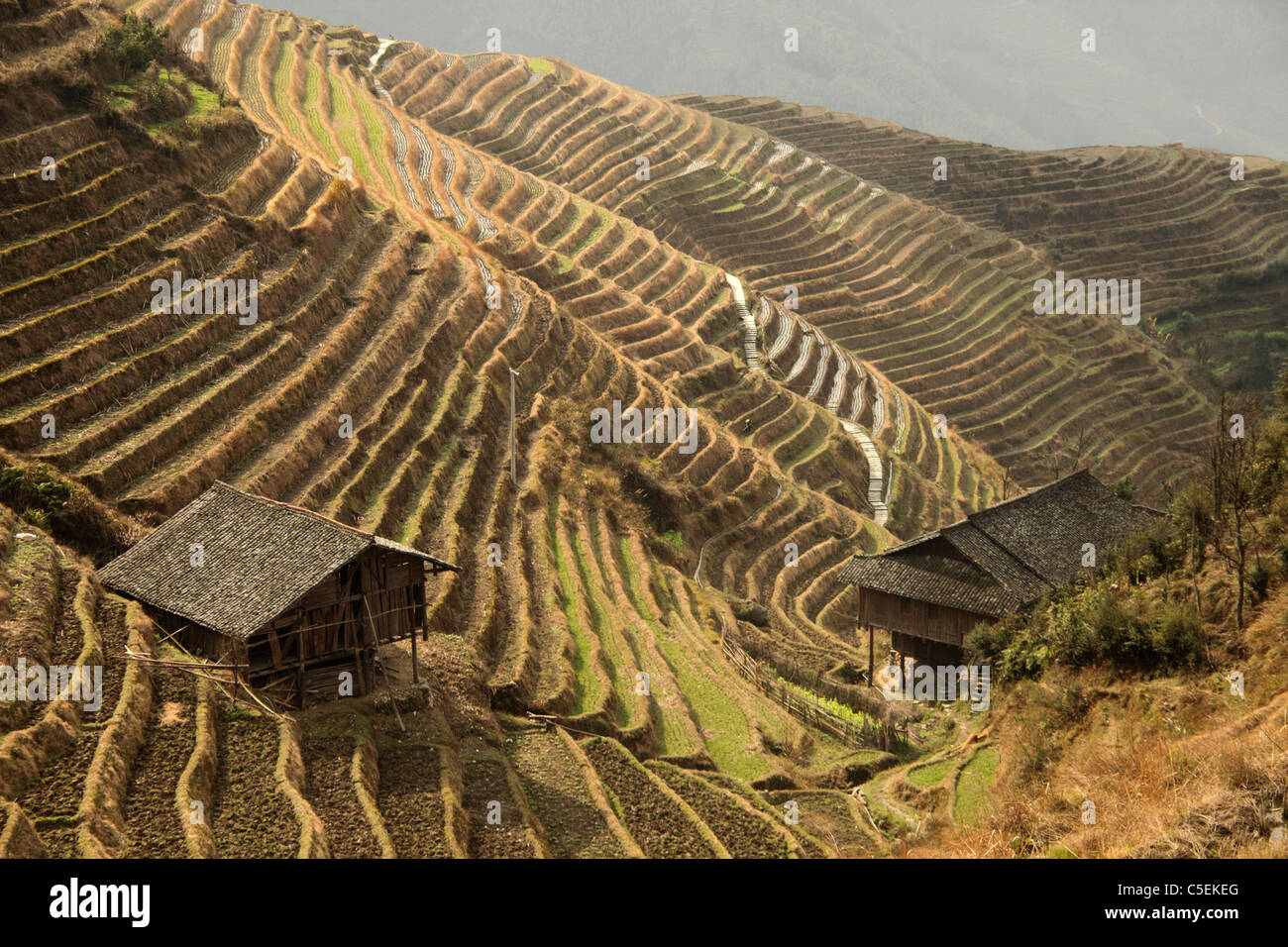 Die weltberühmten Reisterrassen von Longji "Rückgrat des Drachen" und das Dorf Ping eine in der Nähe von langen Sheng, Guangxi, China Stockfoto