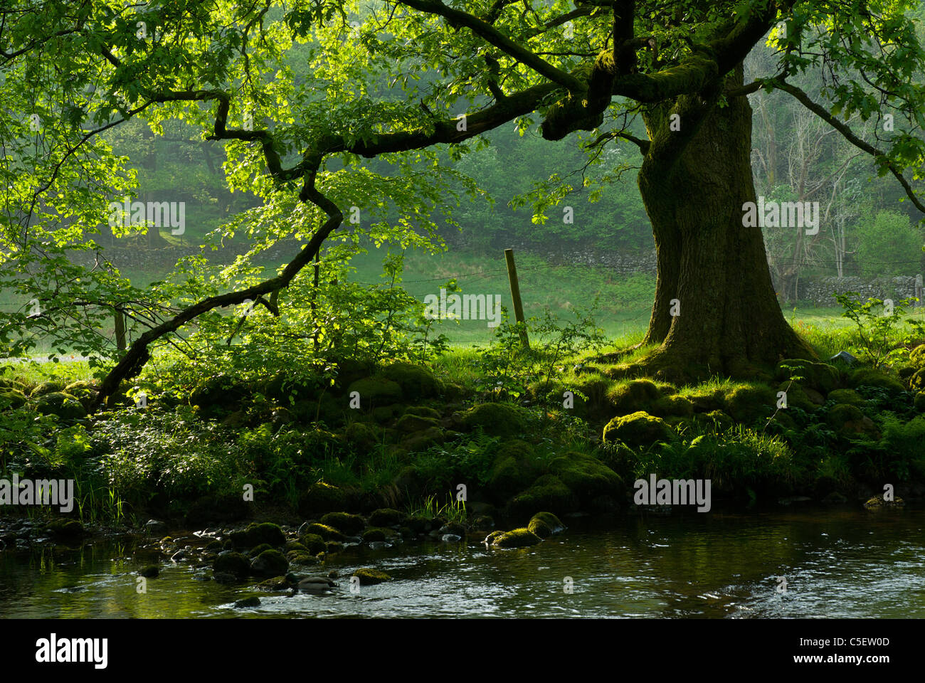 Fluß Rothay, zwischen den Seen von Grasmere und Rydal Wasser, Nationalpark Lake District, Cumbria, England UK Stockfoto