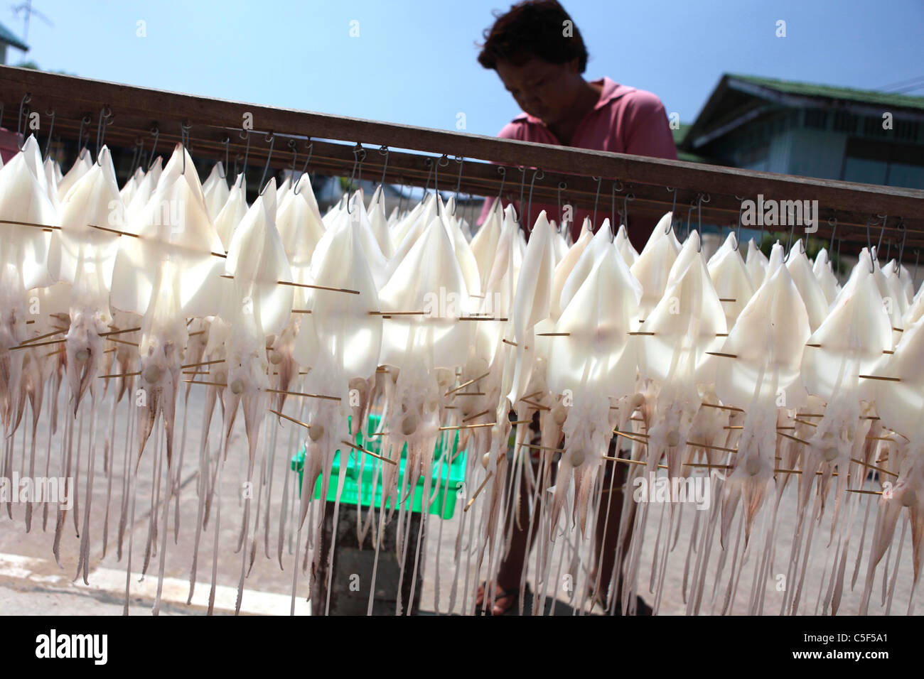 Eine Frau Dires Tintenfisch in Pranburi Fischerdorf und Markt. Stockfoto