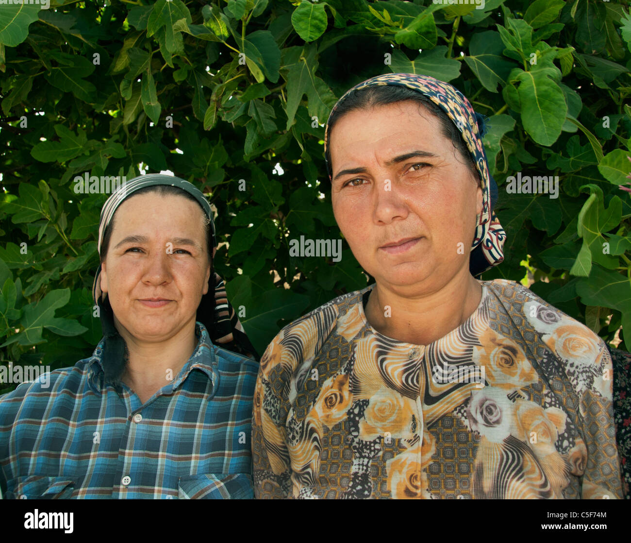 Frau Frauen Süd West Türkei Farmer Ernte Bauernhof Türkisch Stockfoto