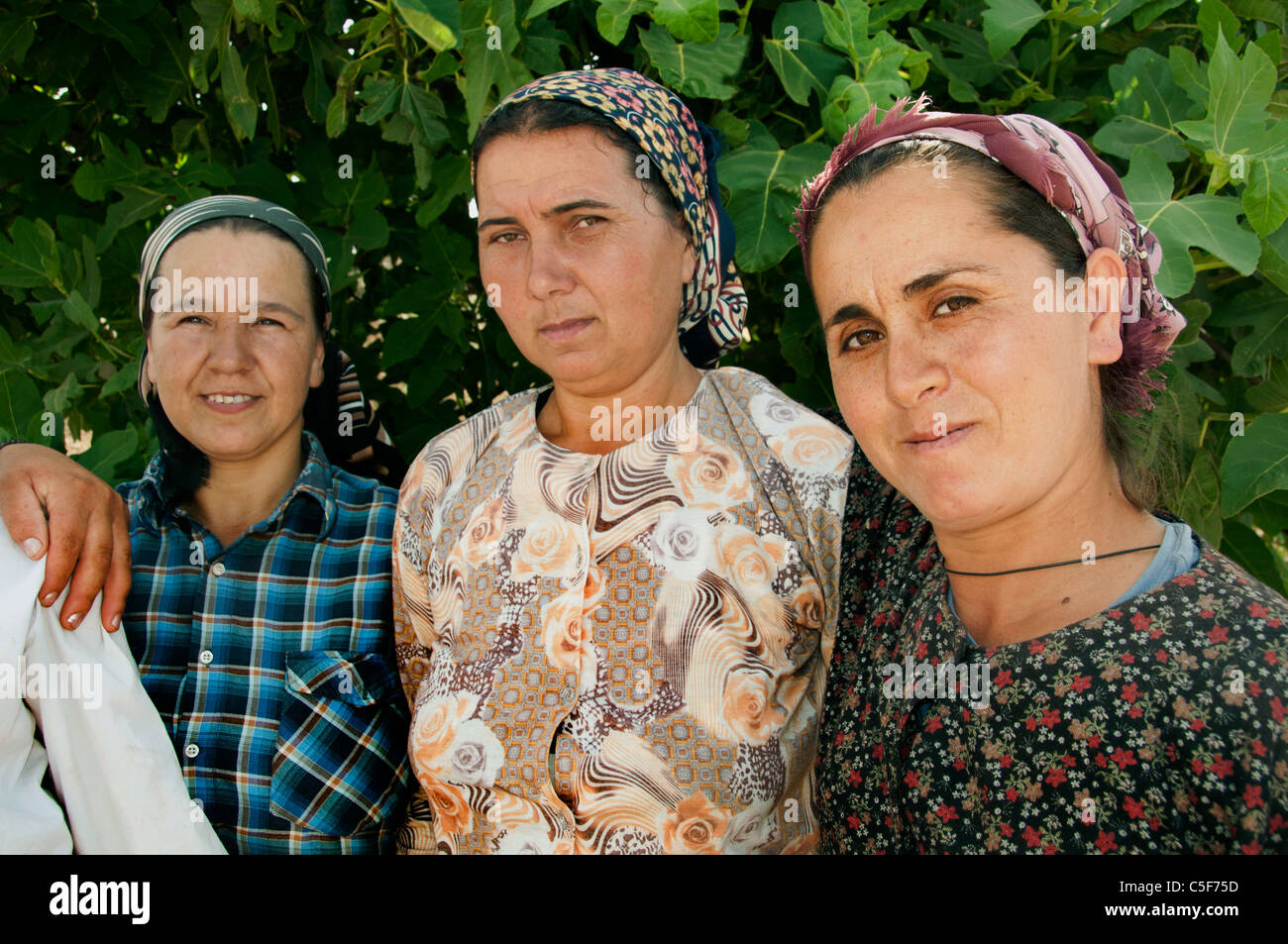 Frau Frauen Süd West Türkei Farmer Ernte Bauernhof Türkisch Stockfoto