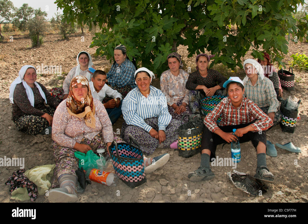 Frau Frauen Süd West Türkei Farmer Ernte Bauernhof Türkisch Stockfoto