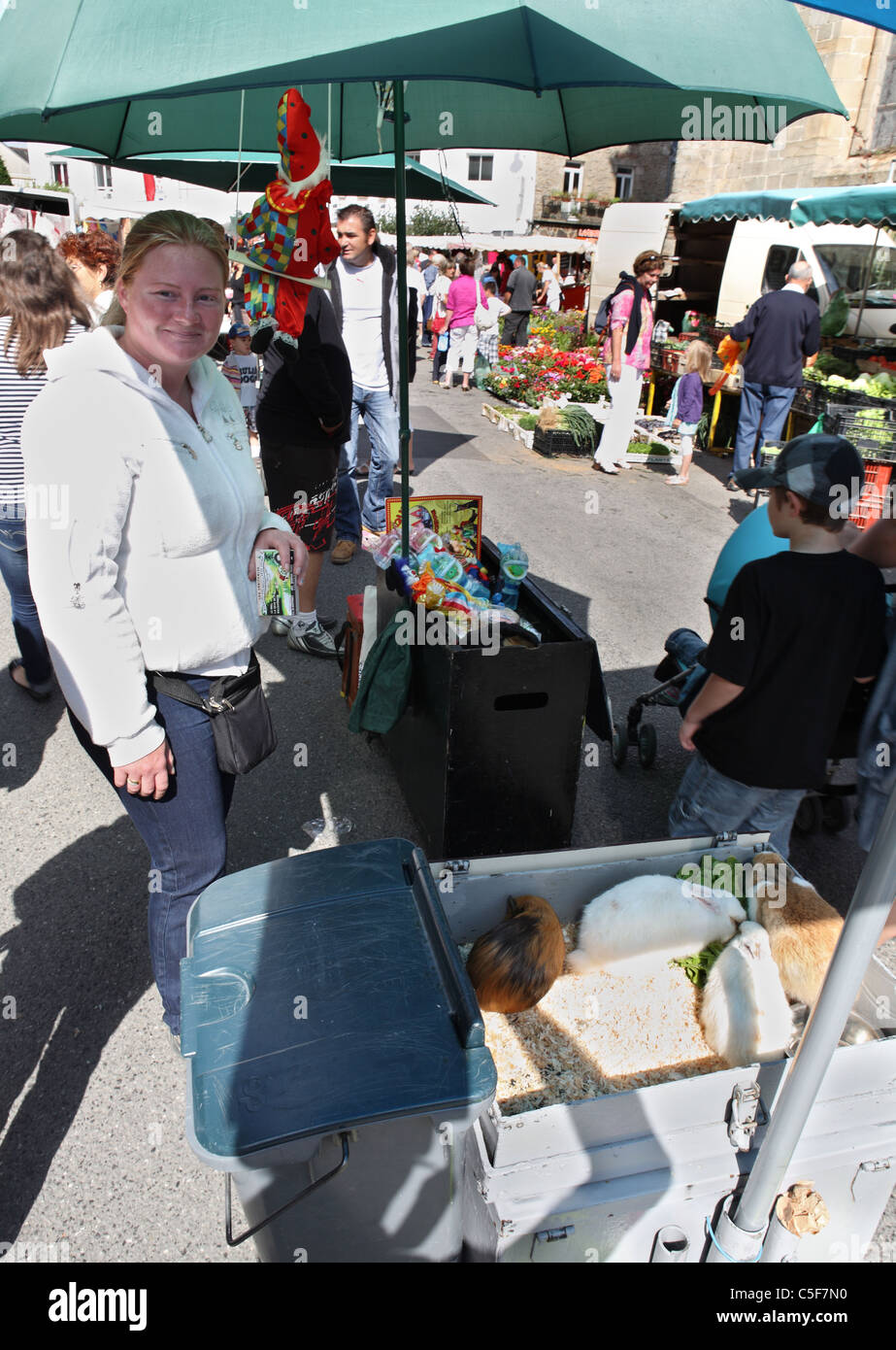 Eine junge Frau, die ein Tierheim in Auray Markt zu fördern, Bretagne, Frankreich Stockfoto