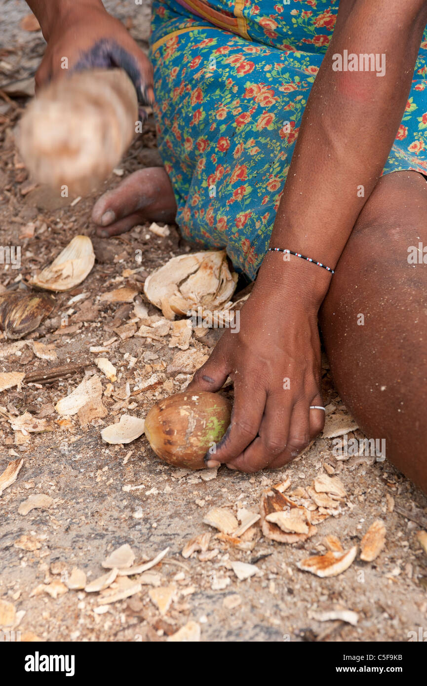 Aldeia Baú, Para, Brasilien. Kayapo Frau aufbrechen eine Babassu-Nuss mit einem Holzhammer. Stockfoto