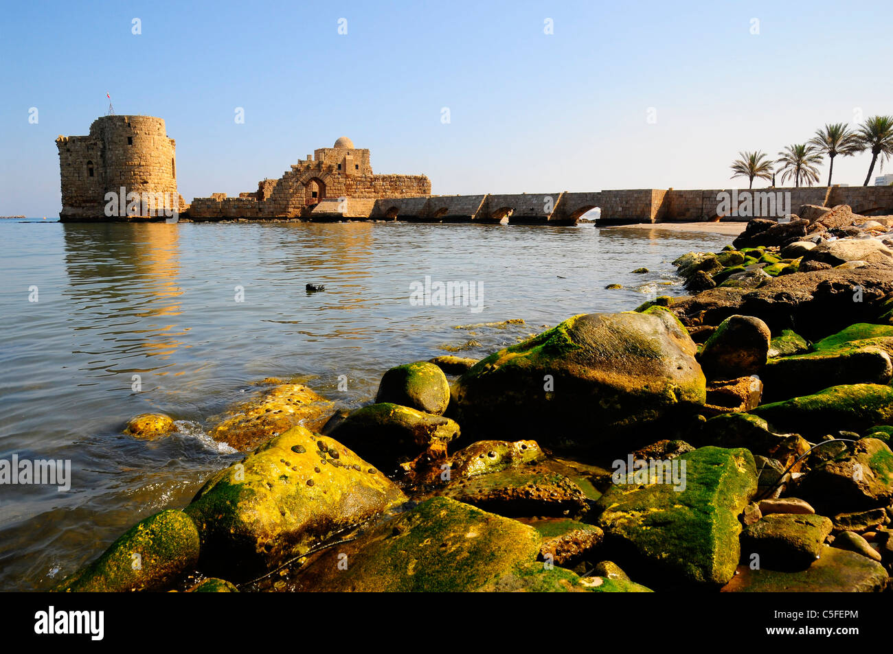 Kreuzritterburg. Sidon (Saida). Im Nahen Osten. Libanon. Stockfoto