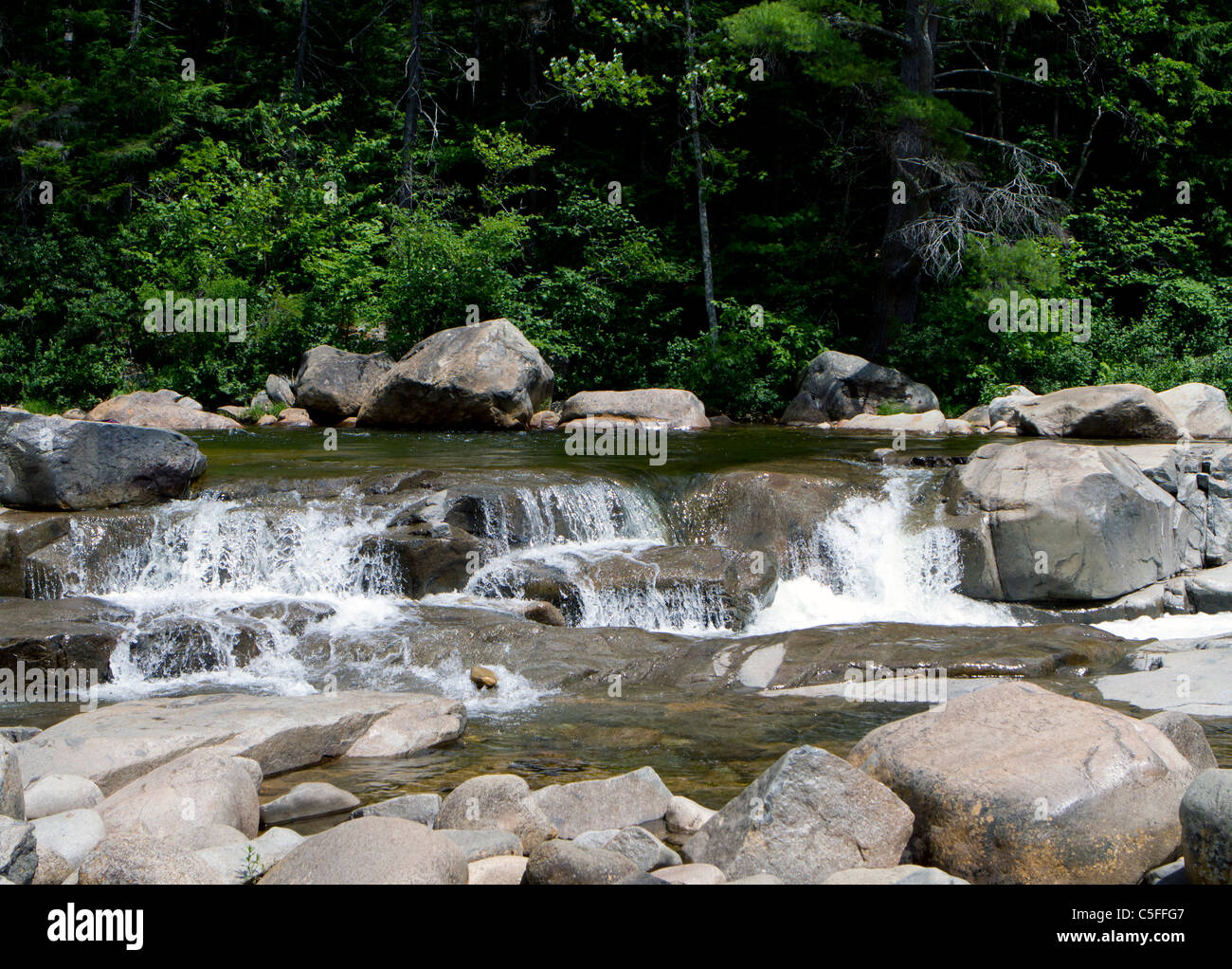 Wasserfall, Stromschnellen, Felsen und Felsbrocken. Ein Fluss-Szene. Stockfoto