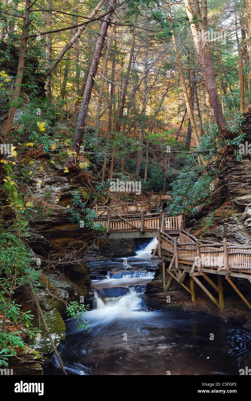 Herbst Creek mit Wanderwegen und Laub im Wald. Bushkill fällt, Pennsylvania. Stockfoto