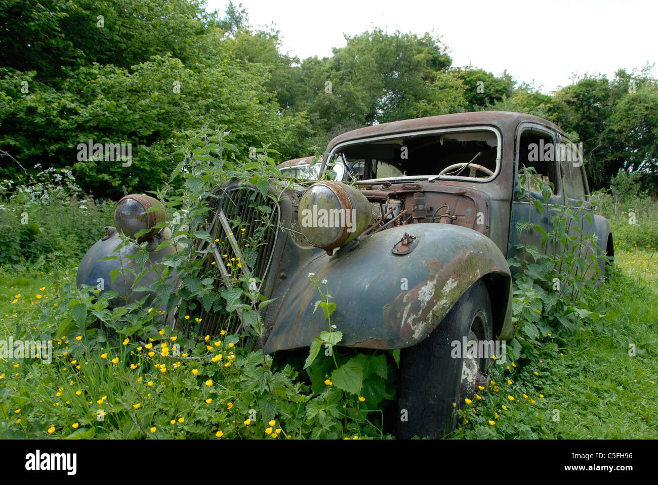Alte verlassene rostigen Renault Auto im Feld Stockfoto