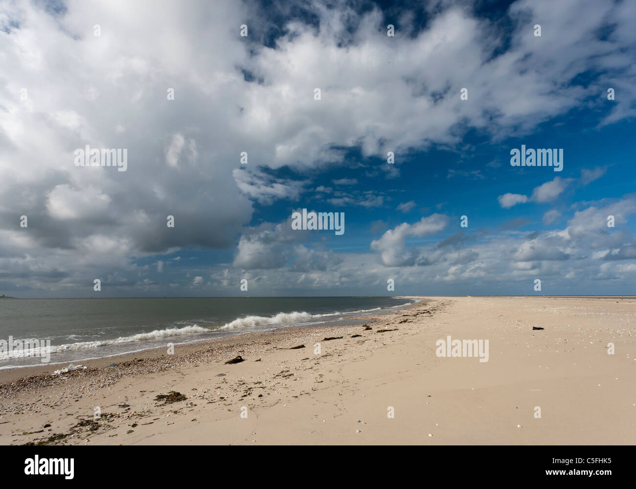 Strand von Texel im Sommer Stockfoto