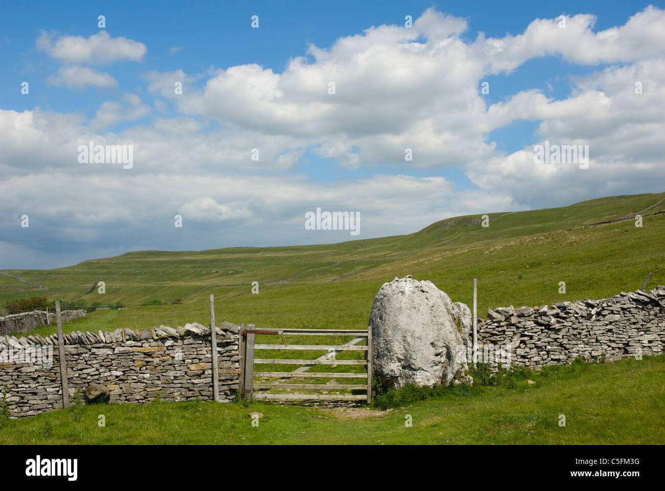 Kalkstein-Landschaft in der Nähe von Cray, Upper Wharfedale Yorkshire Dales National Park, England UK Stockfoto