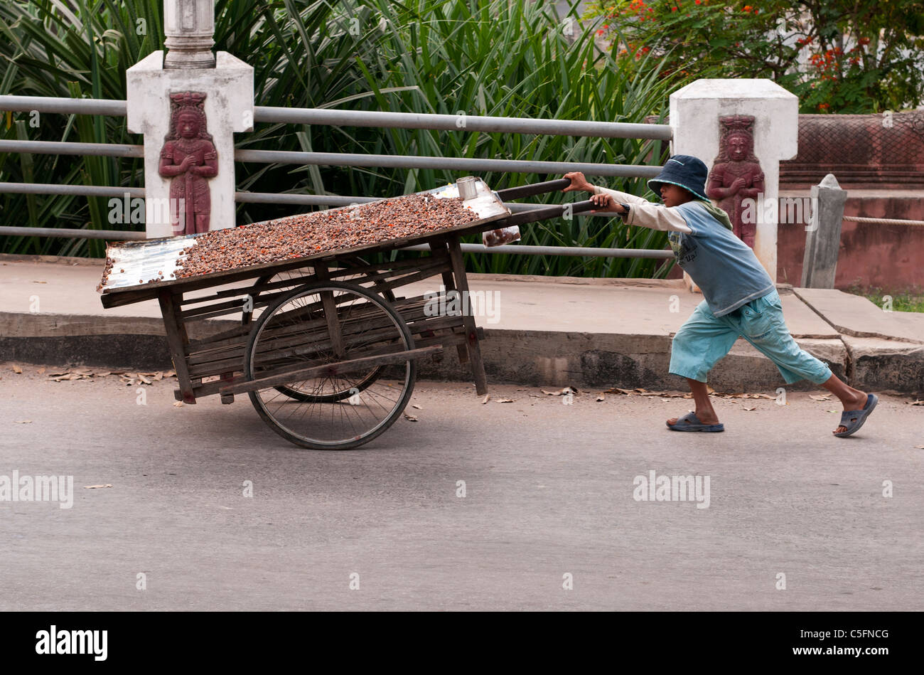 Junge treibt einem Handwagen kleine gekochte Schnecken, Siem Reap, Kambodscha Stockfoto