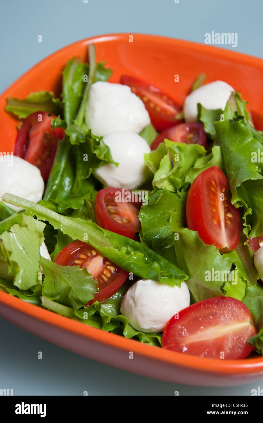 Salat mit frischen Salatblättern, Tomaten und Mozzarella Stockfoto