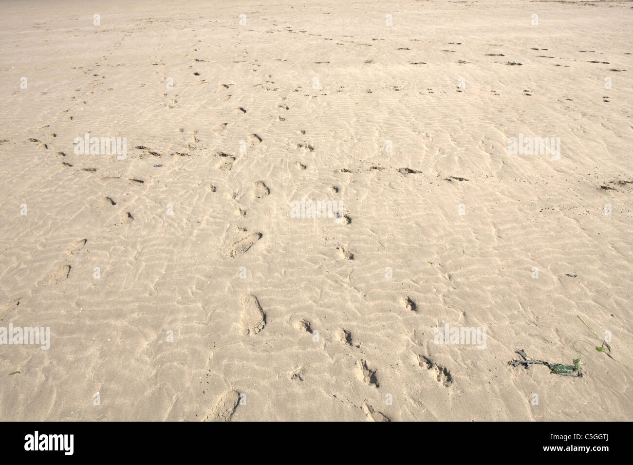 Spuren Im Sand Footprints In The Sand