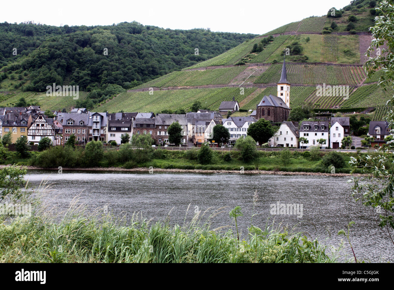 Dorf an der Mosel in Deutschland Stockfoto