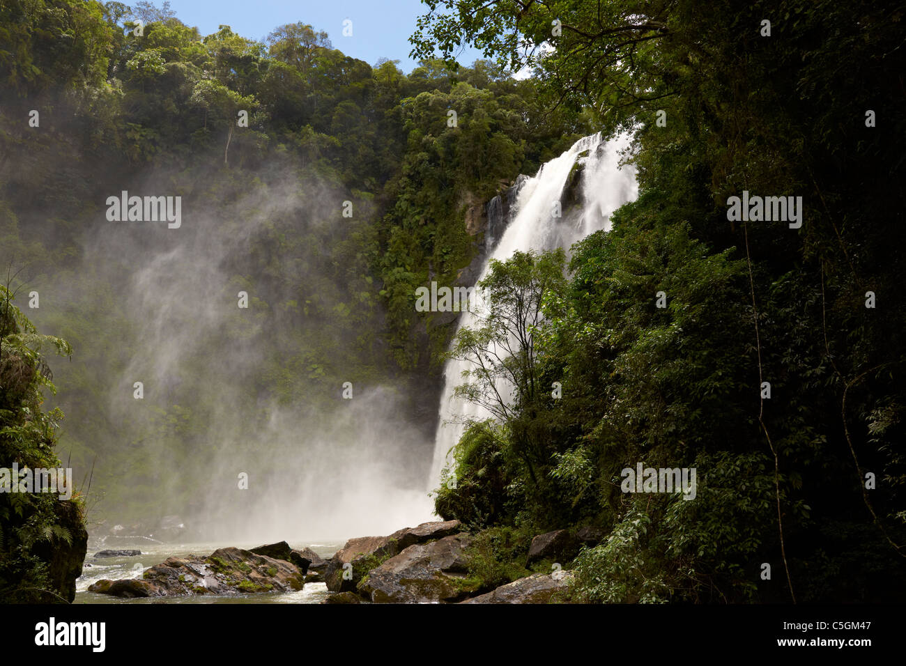 Braut-Schleier-Wasserfall im Atlantischen Regenwald Stockfoto