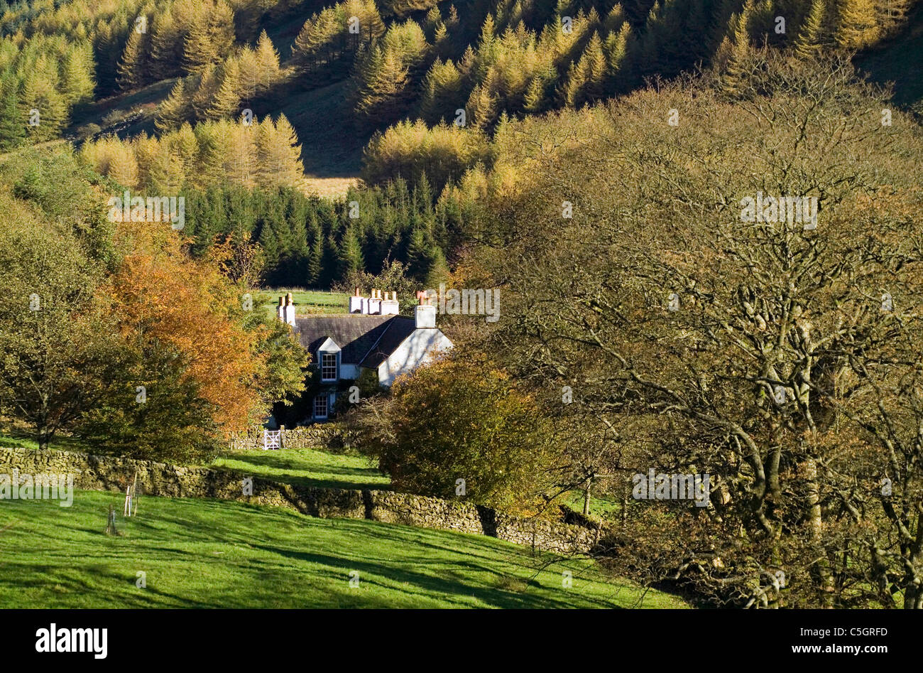Ferienhaus in den Hügeln und Wäldern Moffat Wasser abgeschieden Stockfoto