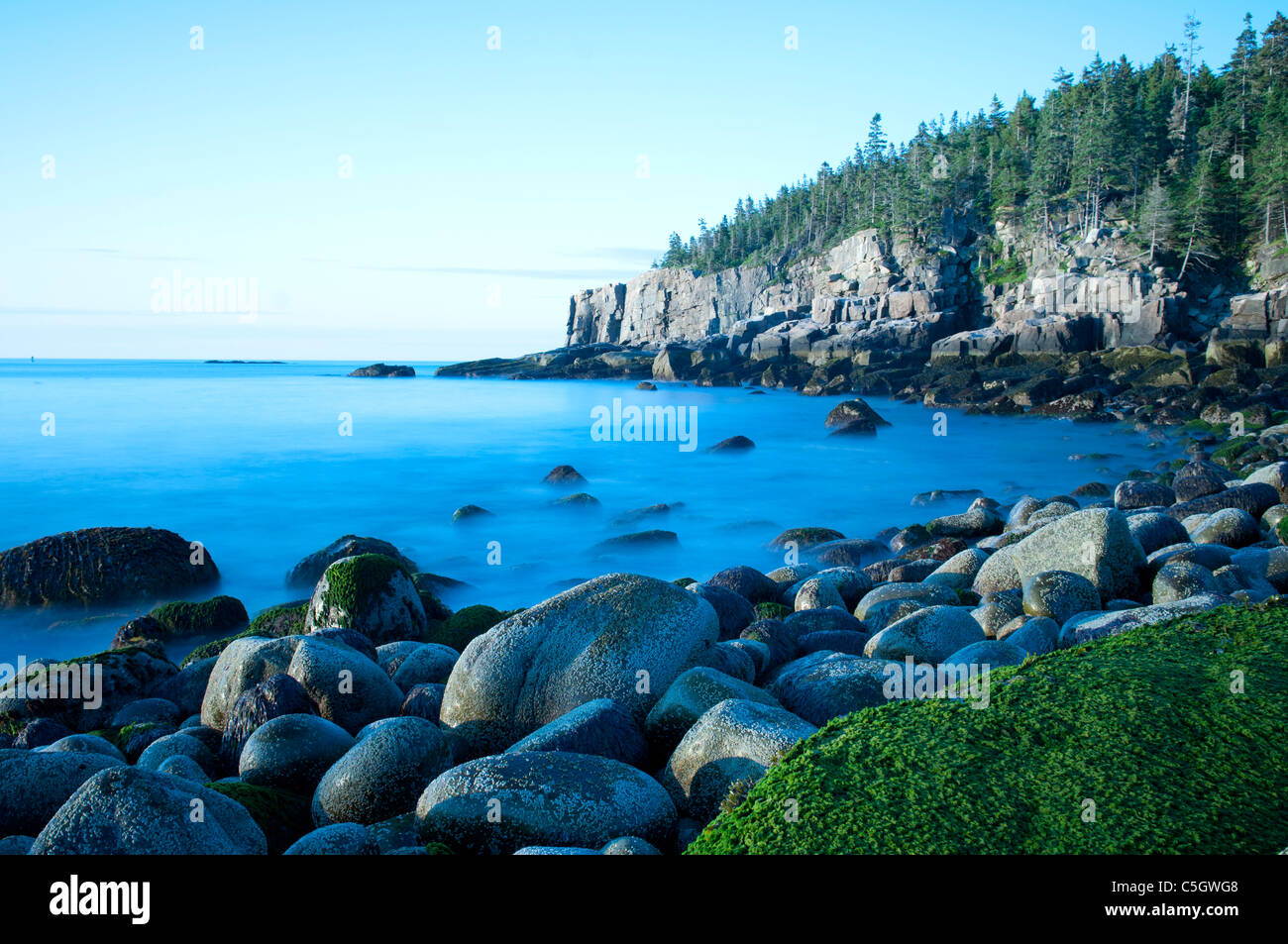 Otter Klippen Acadia Nationalpark Maine Stockfoto