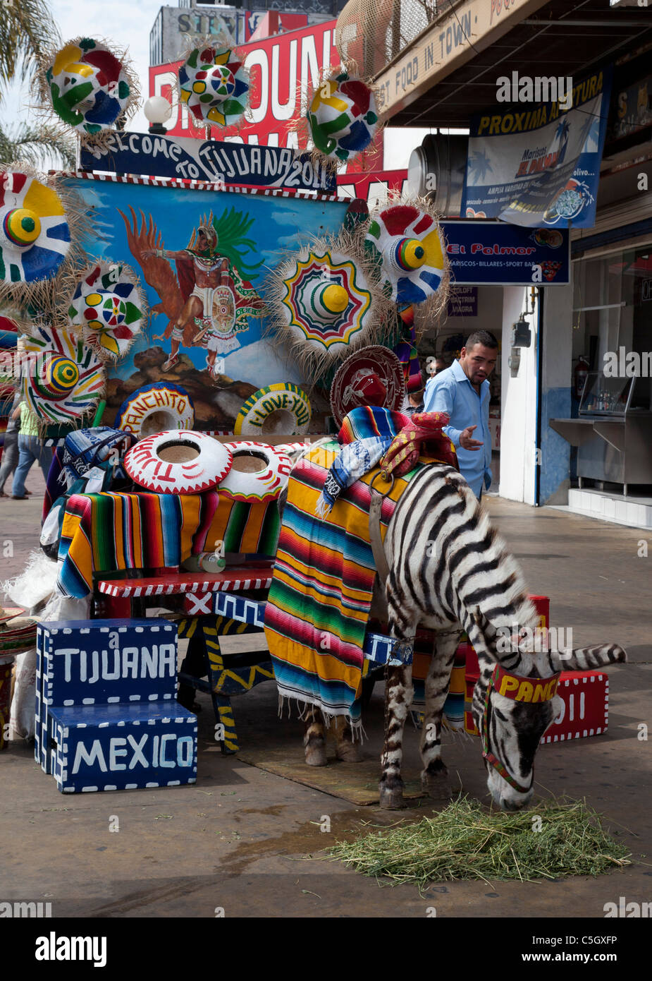 Tijuana, Mexiko - A Tijuana Zebra, die ein Esel ist bemalt mit Zebrastreifen. Stockfoto