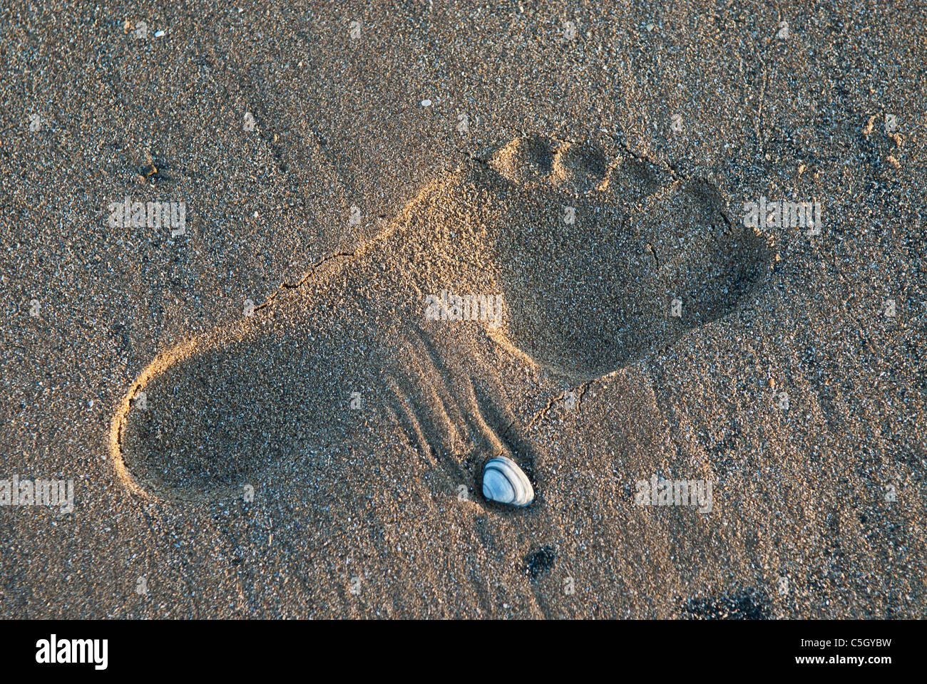 Fussspuren im sand Stockfoto