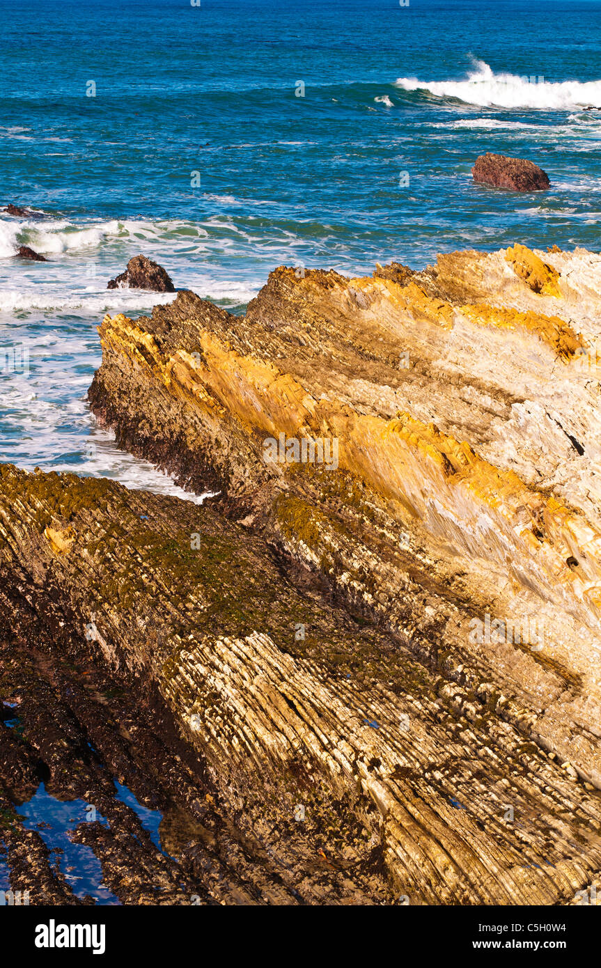 Felsige Küste und Surf, Montana de Oro State Park, Kalifornien USA Stockfoto