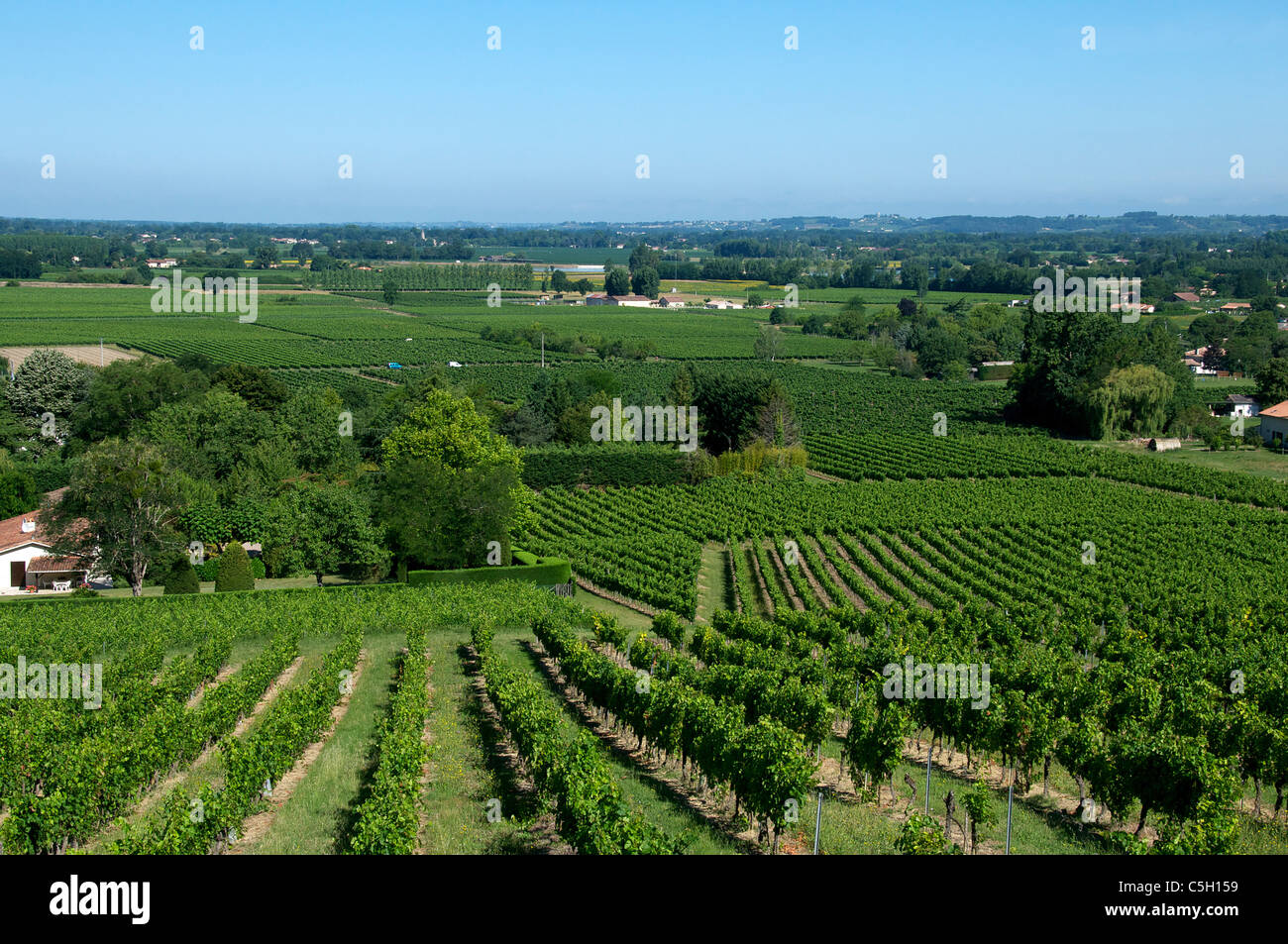 Panoramablick über die Weinberge Entre Deux Mer Gironde Aquitaine Frankreich Stockfoto