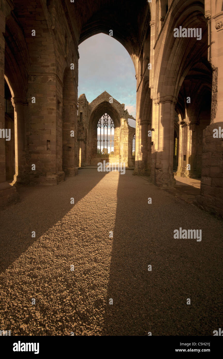 Melrose Abbey späte Sonne Durchströmen der Kreuzgang Stockfoto