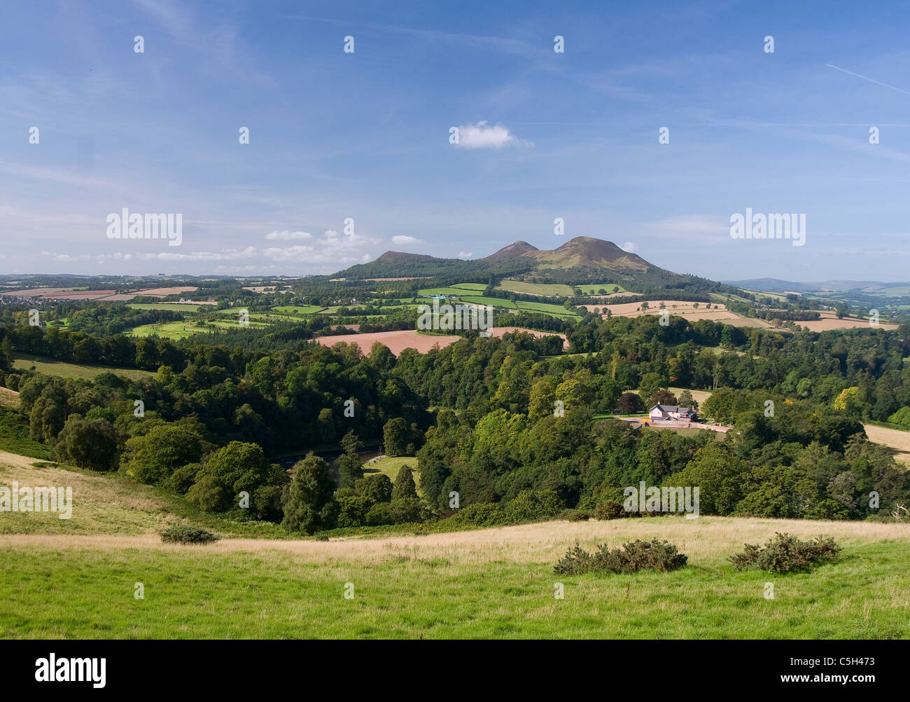 Scotts View und die Eildon Hills vom Fluss Tweed - Scottish Borders Stockfoto