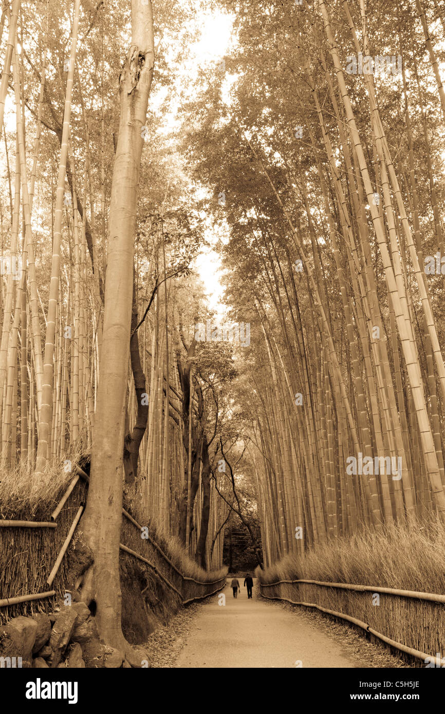 Berühmte und beliebte Touristenattraktion, der eingezäunte breite Pfad, der durch einen grünen Bambushain in Arashiyama, Kyoto, führt. Paar laufen. Sepia-Ton. Stockfoto