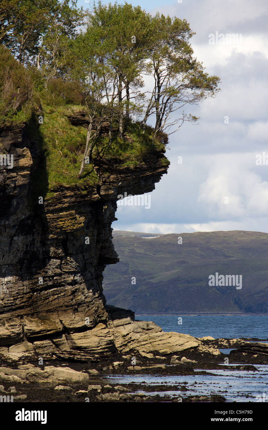 Überhängende Bäume auf erodierten felsigen Klippen am Ufer des Loch ich in der Nähe von Elgol, Isle Of Skye, Schottland Stockfoto