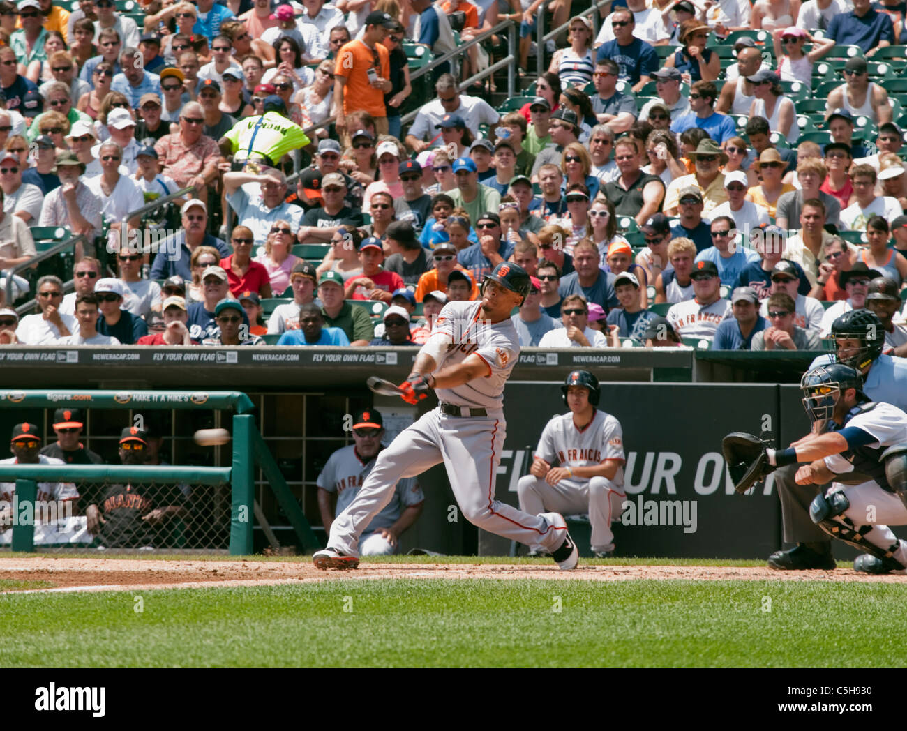 San Francisco Giants Spieler Emmanuel Burriss macht einen Hit bei den Baseball Spiel mit den Detroit Tigers Stockfoto