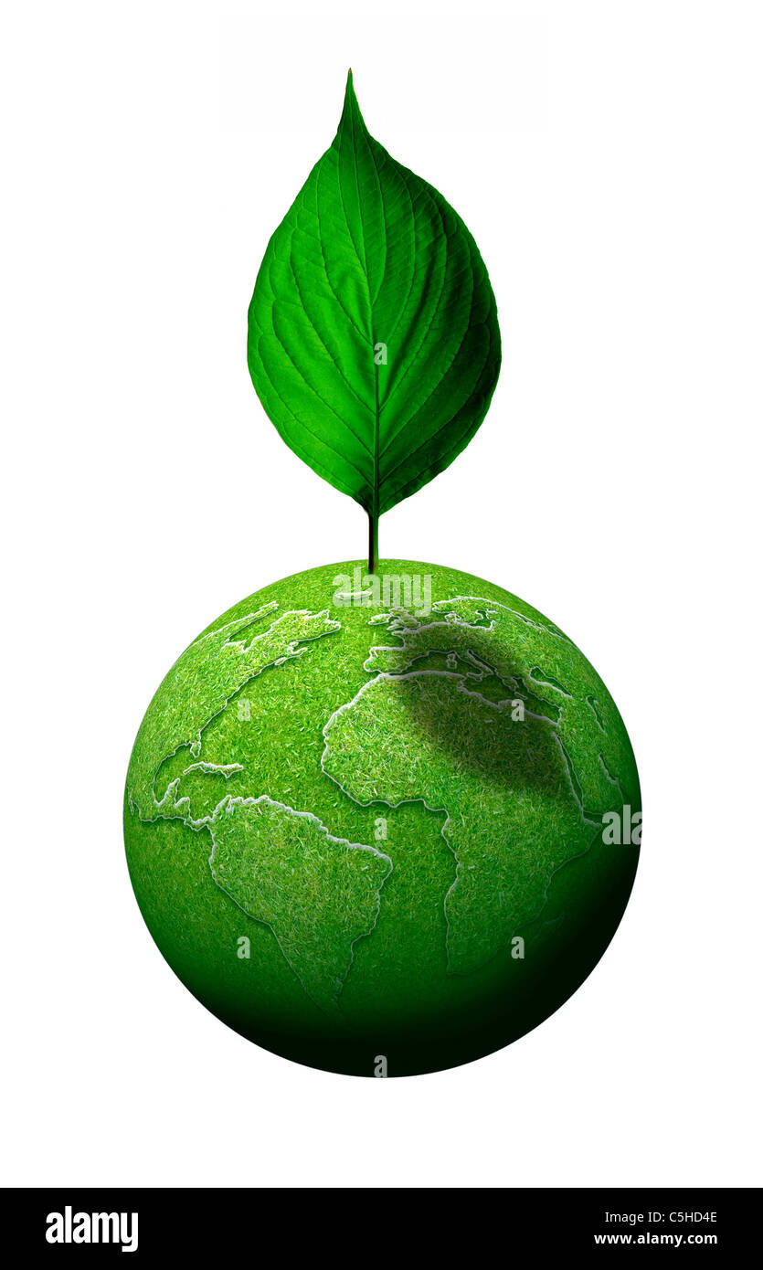 Blatt aus einer grünen Erdkugel Stockfoto