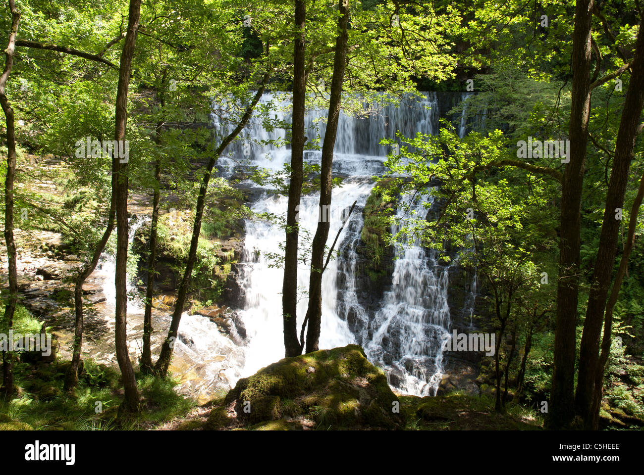 Sgwd Isaf Clun Gwyn Wasserfall, Fluss Mellte, Brecon Beacons National Park, Wales, UK Stockfoto