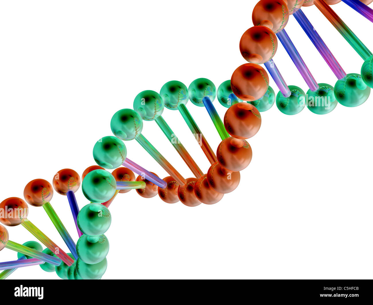 DNA-Molekül, Computer-Grafik Stockfoto