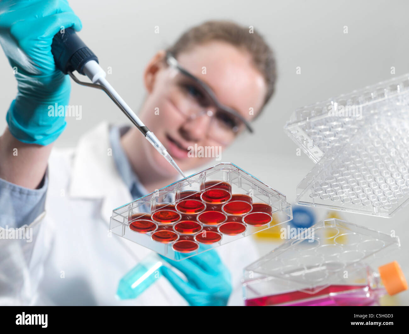 Biologische Forschung Stockfoto