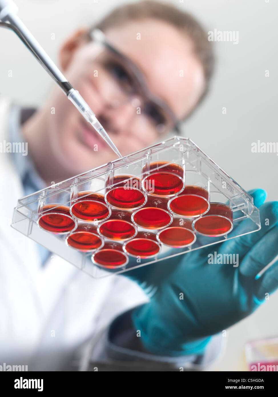 Biologische Forschung Stockfoto