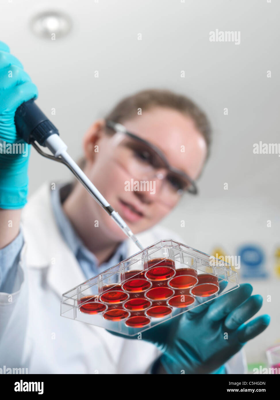 Biologische Forschung Stockfoto