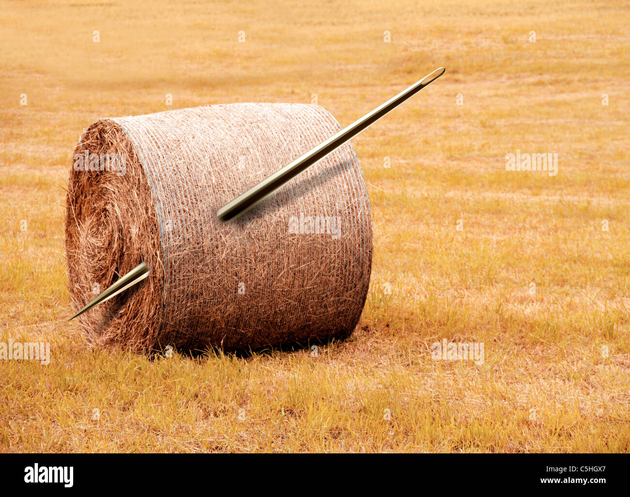 Nadel im Heuhaufen, konzeptuellen Kunstwerk Stockfoto