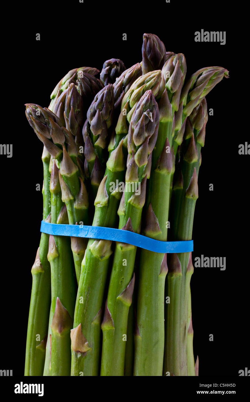 Frischer Spargel auf schwarzem Hintergrund Stockfoto