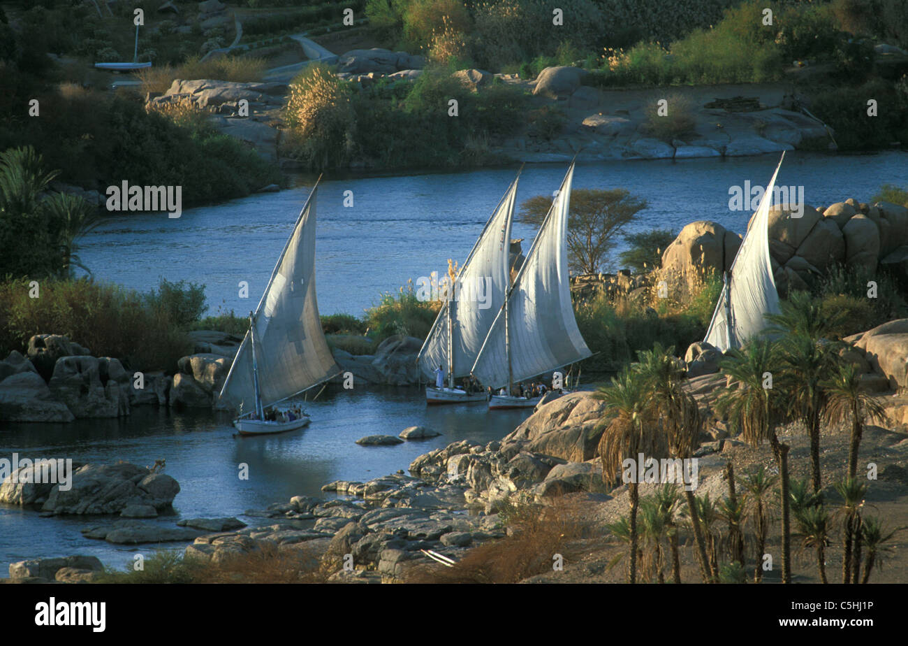 Ägypten, Aswan / Nil. Feluken (traditionelle Segelschiffe). Stockfoto