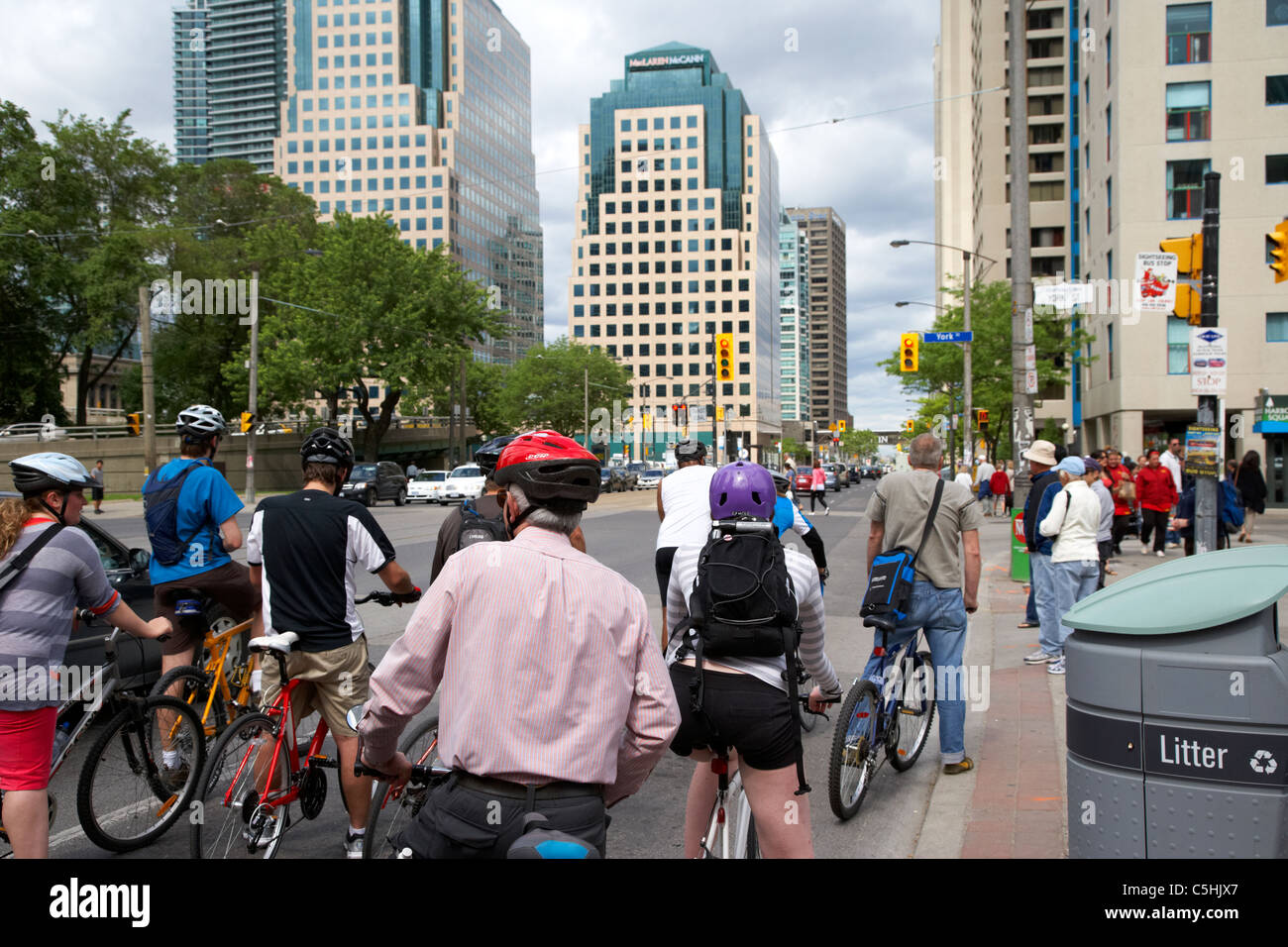Radfahrer am Queens Quay west warten an der Ampel Toronto Ontario Kanada Stockfoto