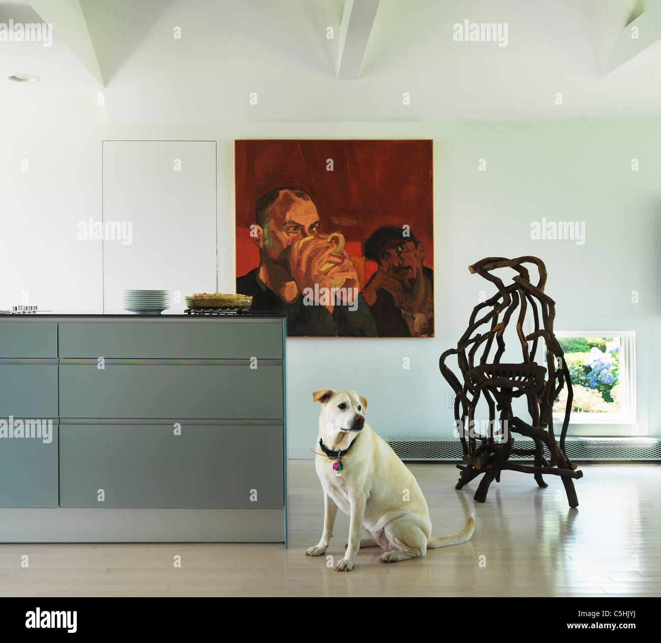 Benny der Hund in modernen Küche Stockfoto