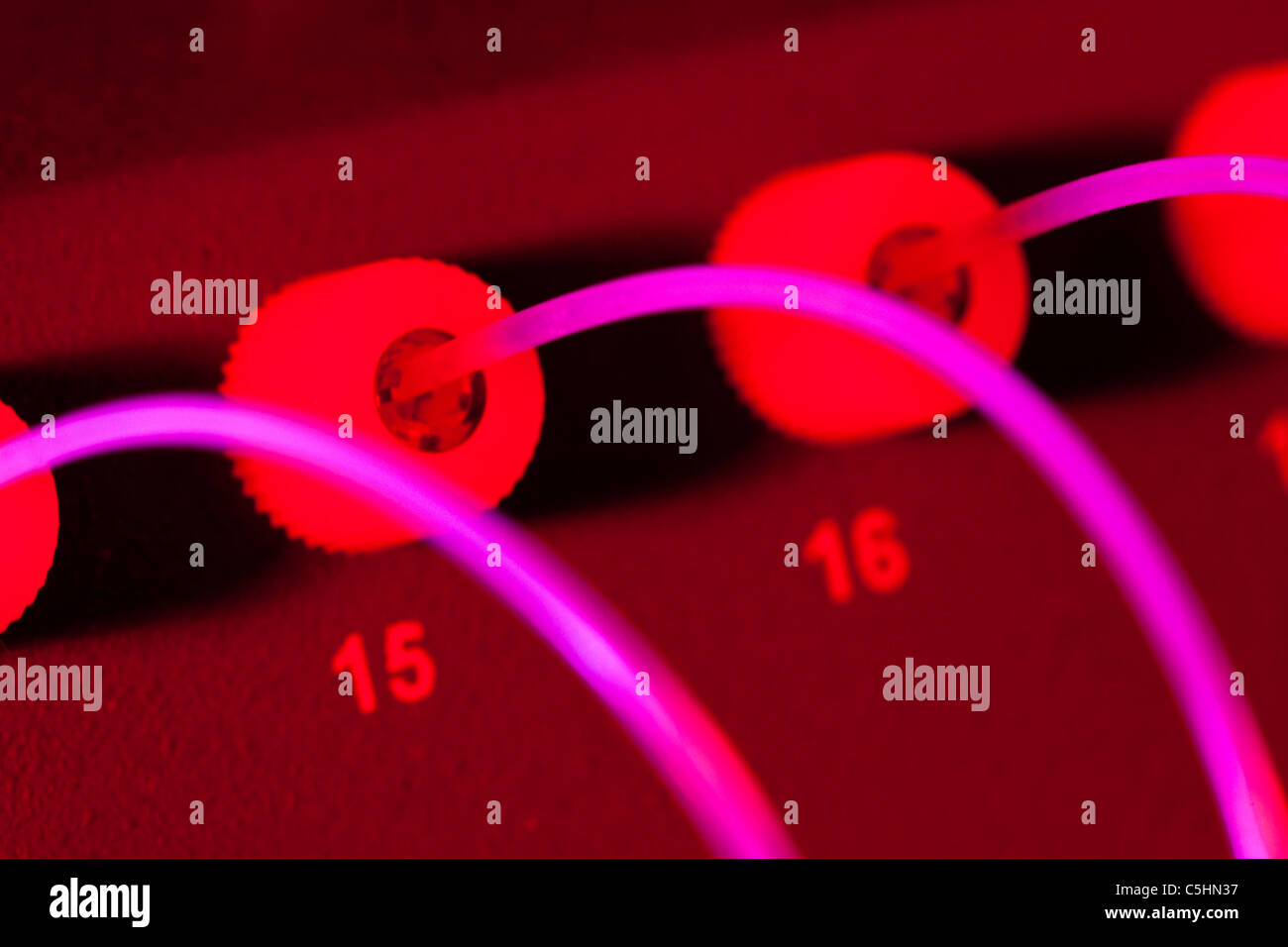 Genom-Sequenzierung-Maschine Stockfoto